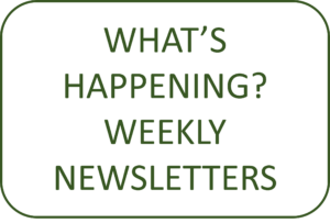Weekly News icon